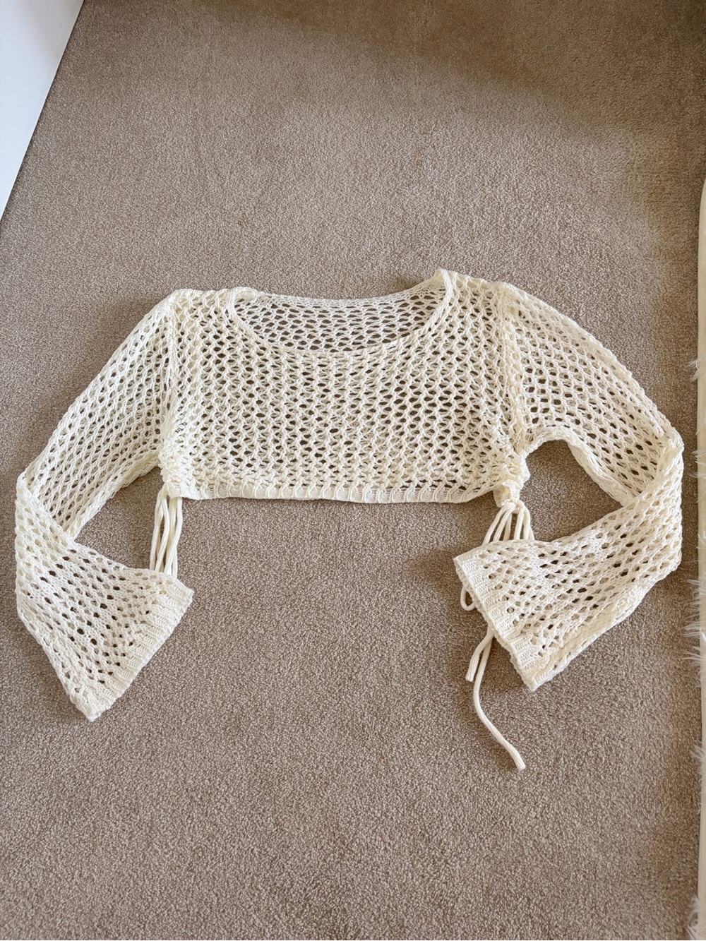 Crochet Long-Sleeve Crop Top